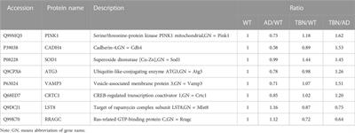 Evaluation of therapeutic effects of tetramethylpyrazine nitrone in Alzheimer’s disease mouse model and proteomics analysis